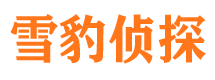 邕宁外遇出轨调查取证